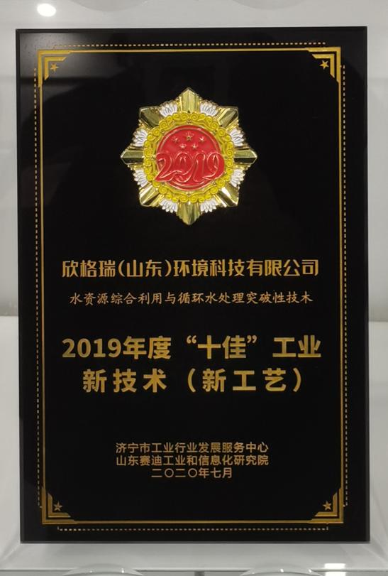 2019年度“十佳”工業新技術（新工藝）