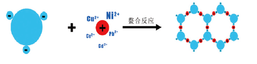 圖片.png 圖片.png